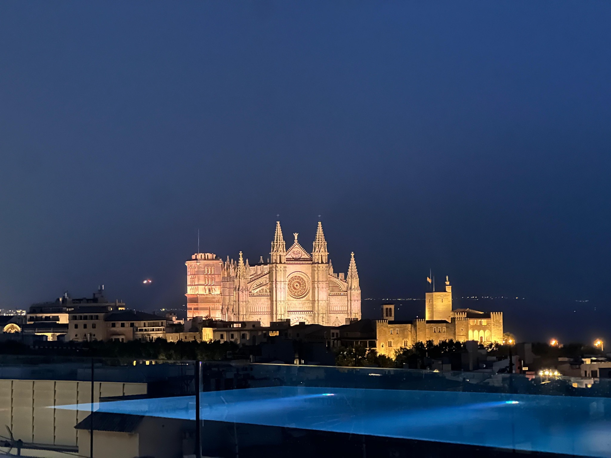 Palma Cathedral illuminated at night